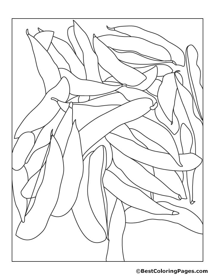 String Beans Drawing at GetDrawings | Free download
