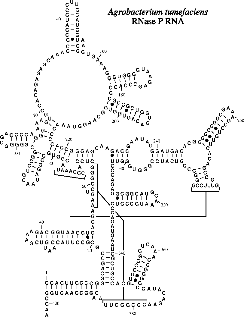 structure-drawing-at-getdrawings-free-download