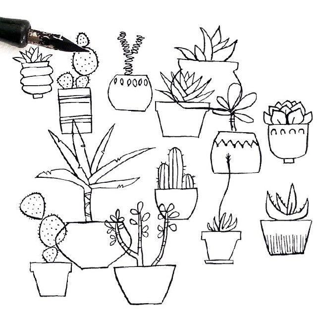 Free Adult Coloring Book Pages with Succulent Terrariums