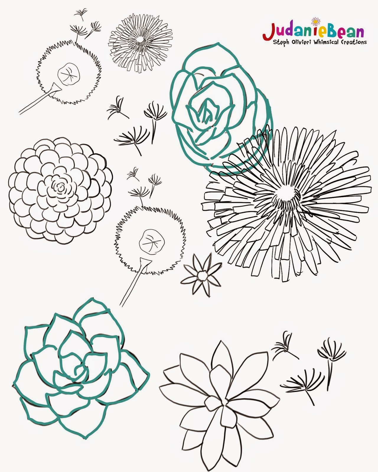 Succulent Plant Drawing at GetDrawings | Free download