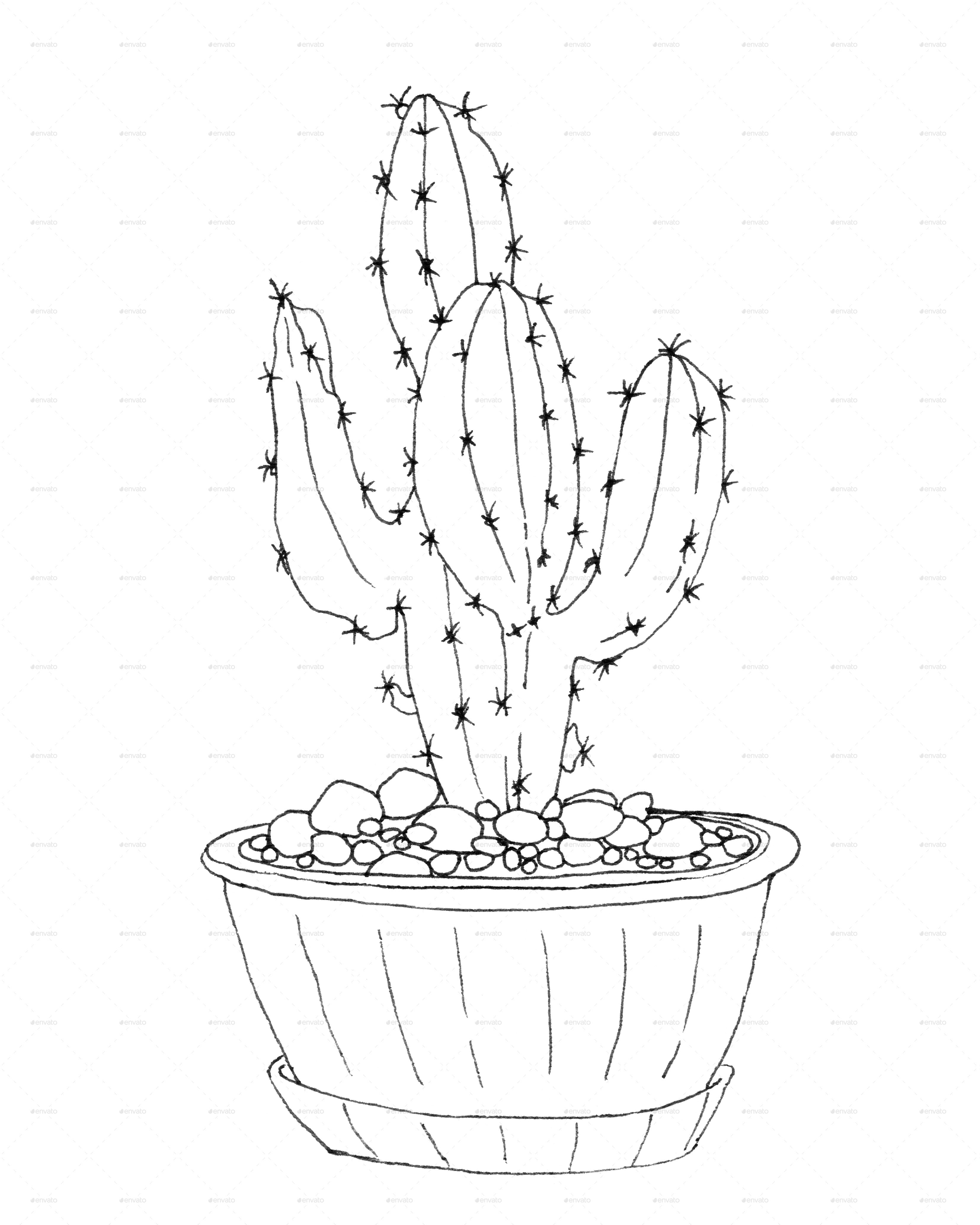 Рисунки фломастерами легкие кактусы