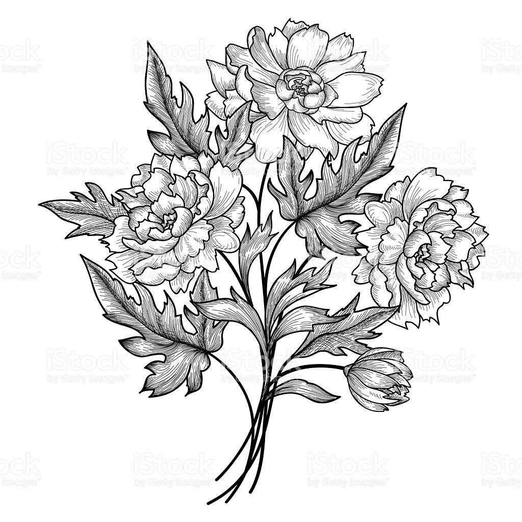 iris flower outline png