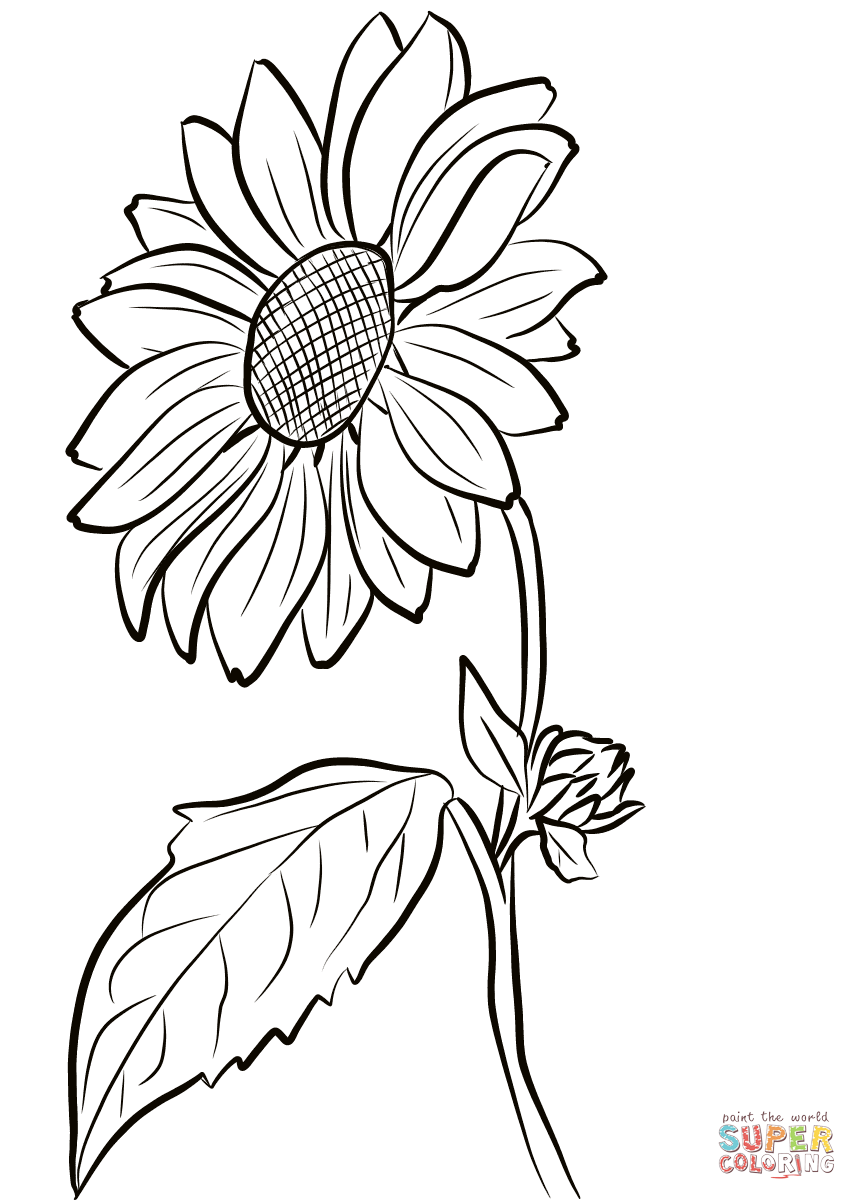 Featured image of post Cartoon Sunflower Drawing Images Free