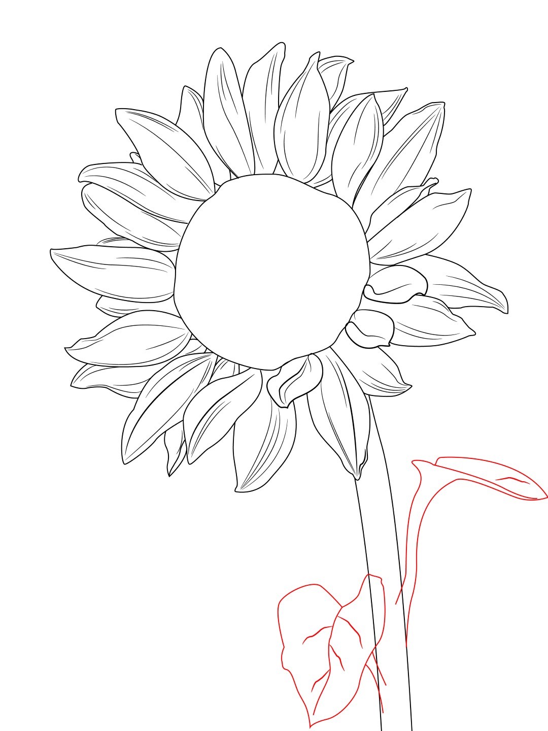 Sunflower Drawing at GetDrawings.com | Free for personal use Sunflower