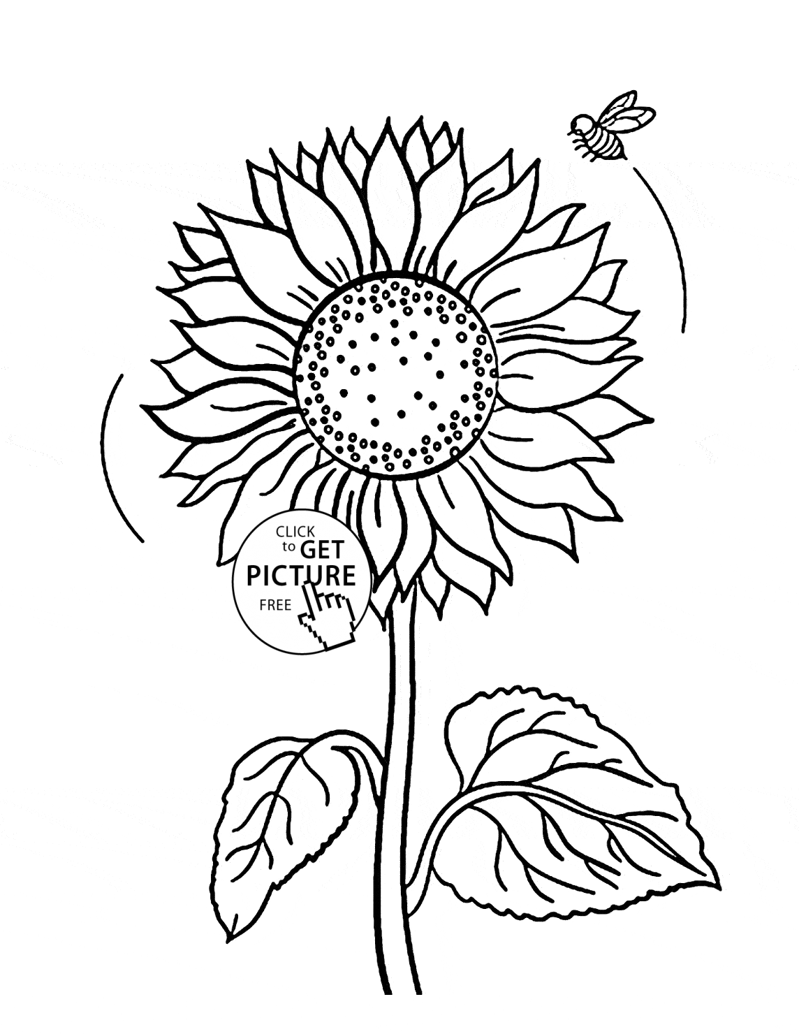 sunflower doodle