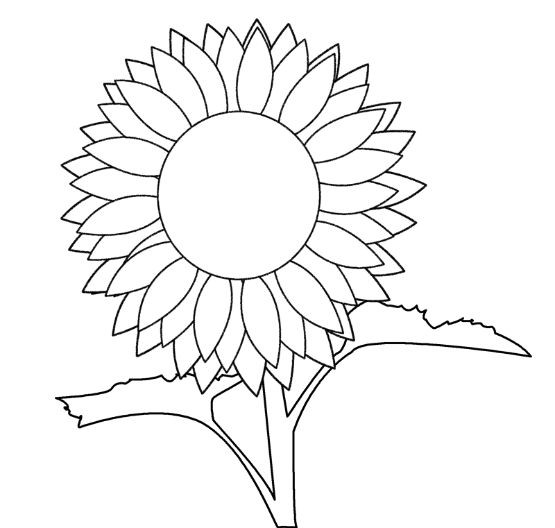 sunflower-drawing-template-at-getdrawings-free-download
