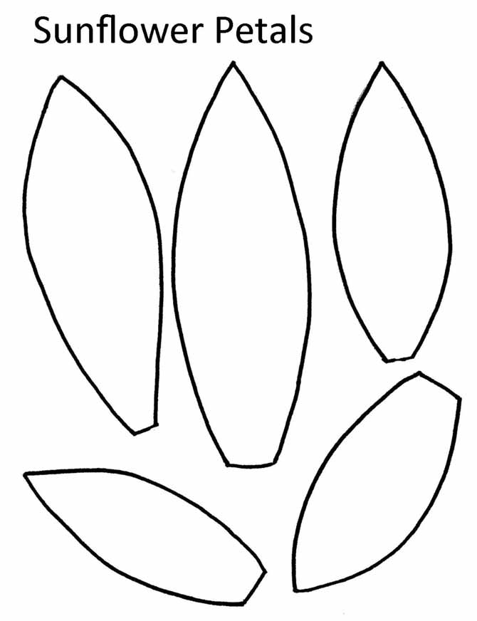 Sunflower Drawing Template at GetDrawings Free download