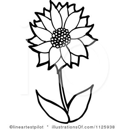 Sunflower Outline Drawing at GetDrawings | Free download