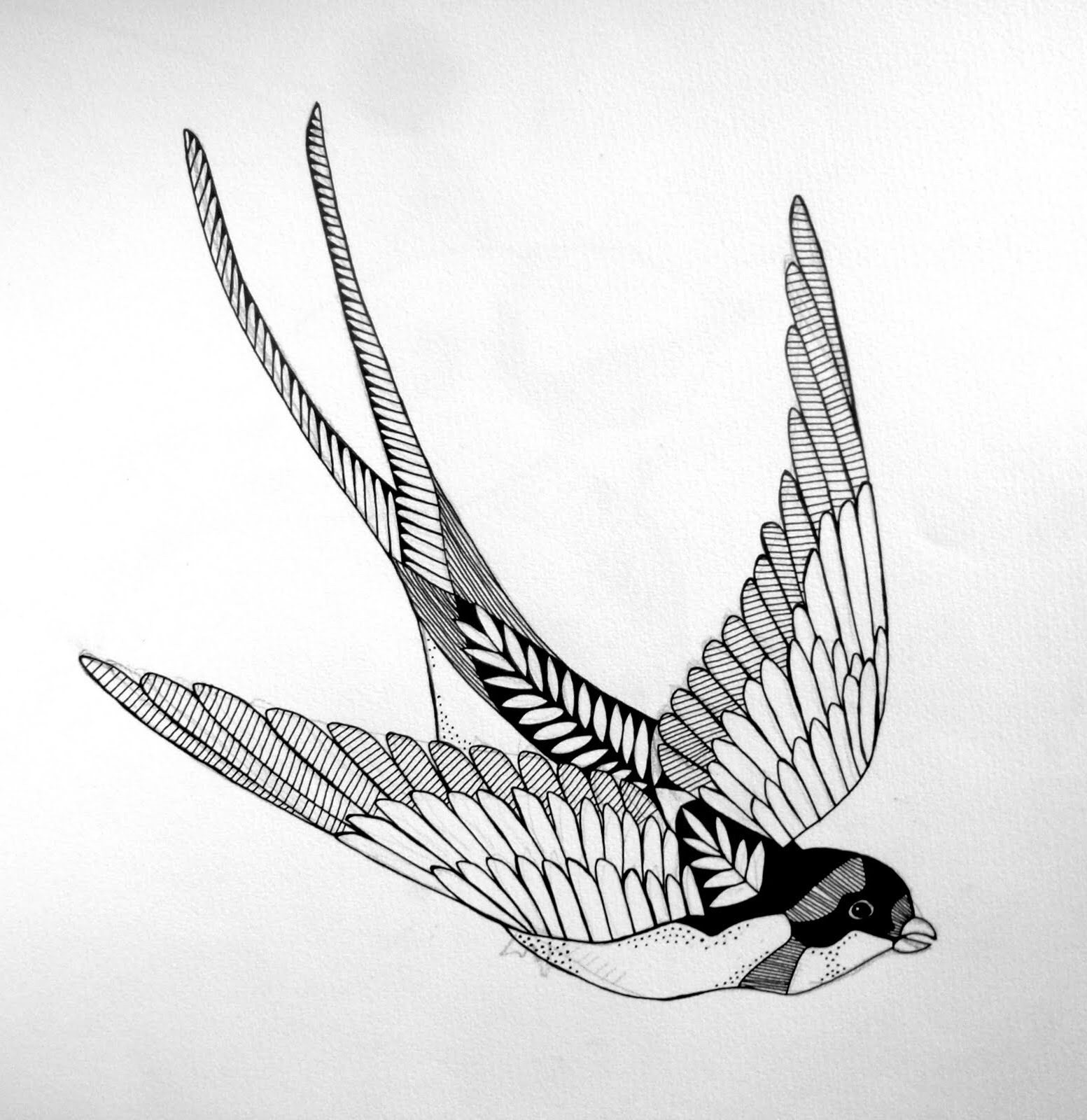 Swallows Drawing at GetDrawings Free download