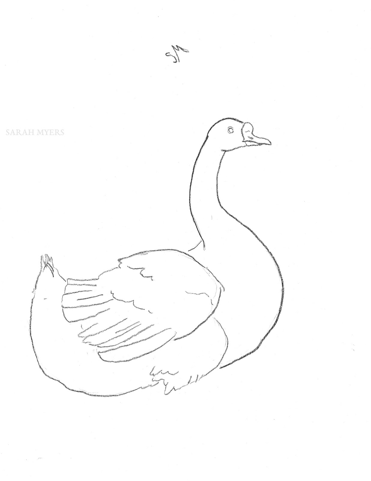 Swan Line Drawing at GetDrawings | Free download