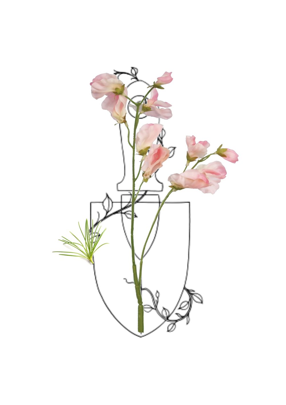 Sweet Pea Flower Drawing at GetDrawings | Free download