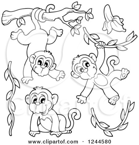 Swinging Monkey Drawing At Getdrawings Com Free For