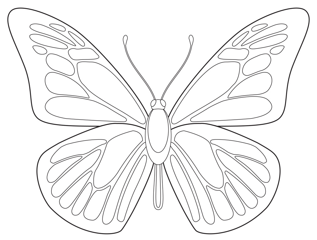 Symmetrical Drawing at GetDrawings | Free download