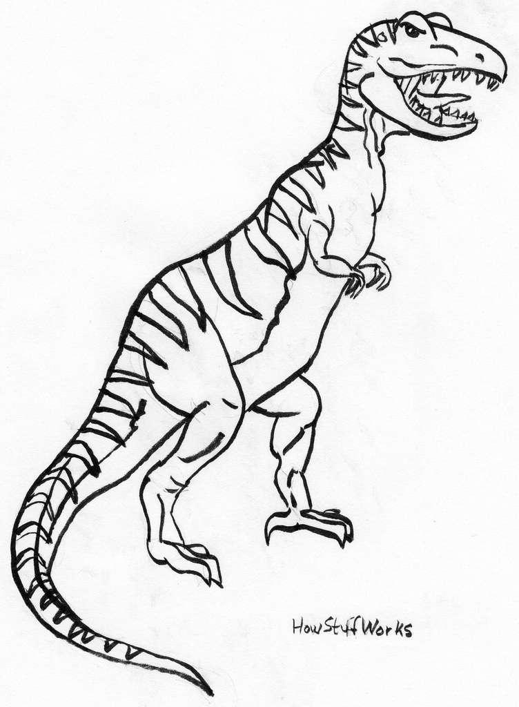 t rex line drawing simple