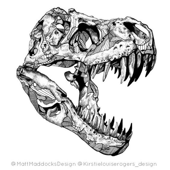 T Rex Skull Drawing at GetDrawings | Free download