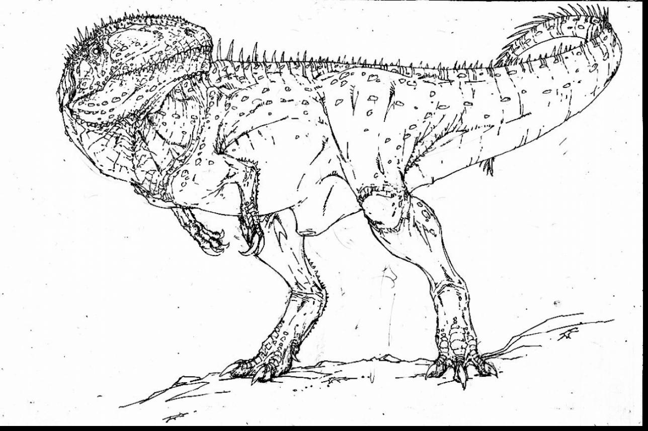 T Rex Skull Drawing at GetDrawings | Free download