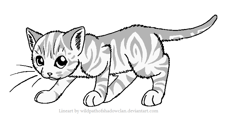 Tabby Cat Drawing at GetDrawings | Free download