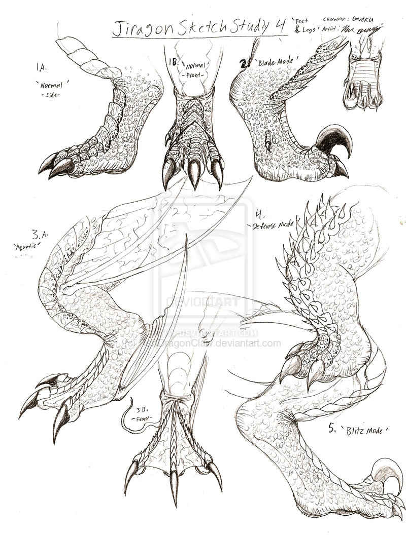 Talons Drawing at GetDrawings | Free download