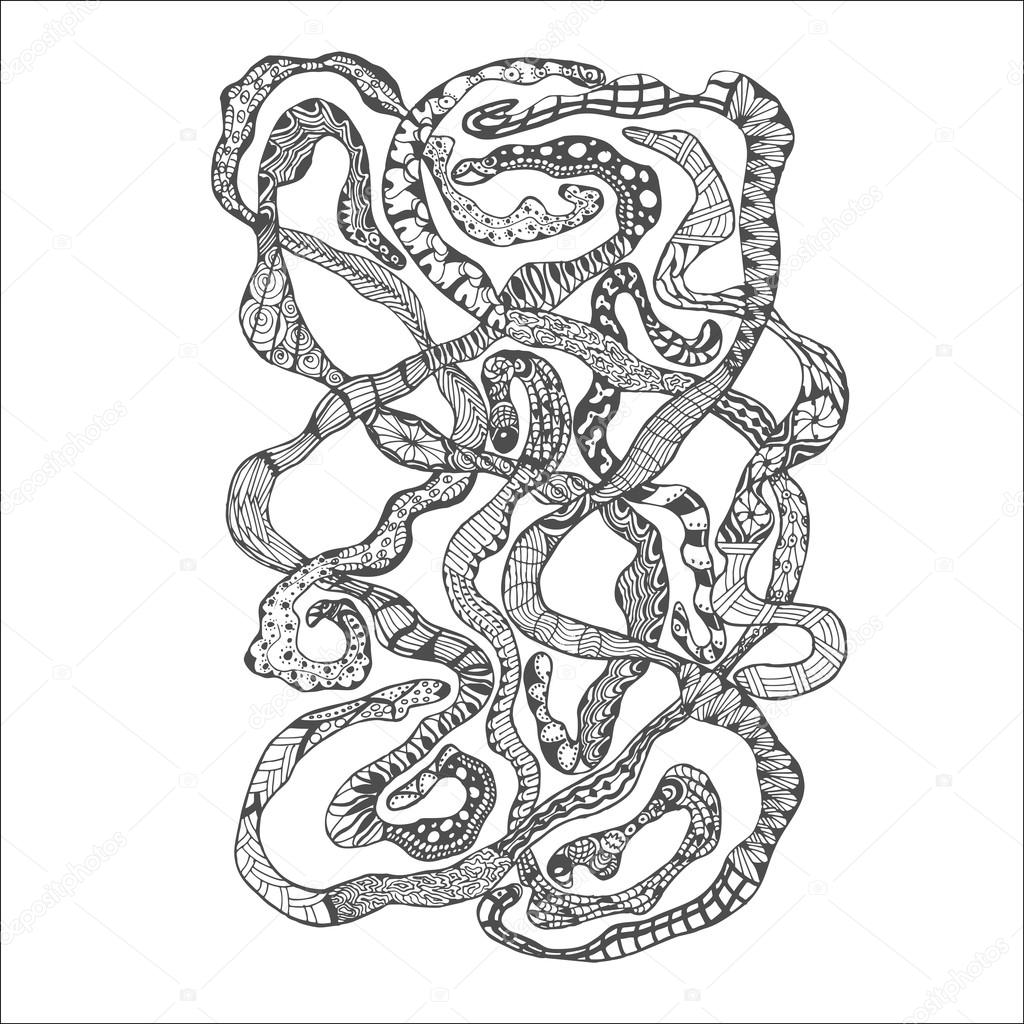 The best free Tapeworm drawing images. Download from 24 free drawings
