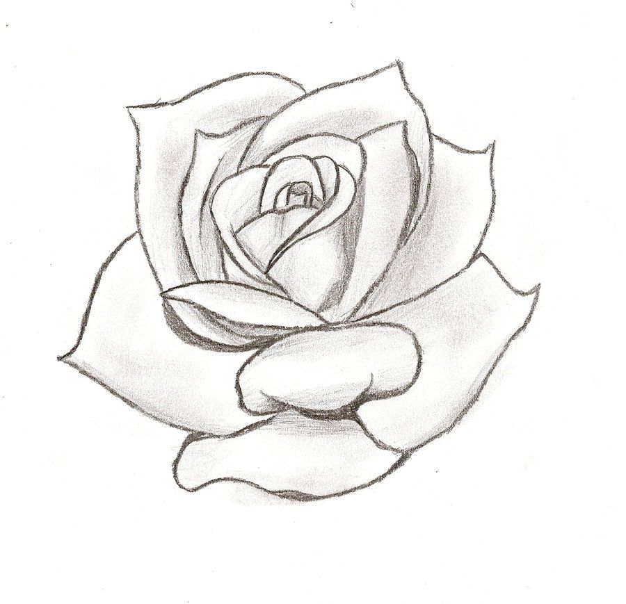 Tattoo Drawing Rose at GetDrawings | Free download