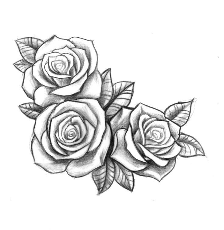 Tattoo Drawing Rose at GetDrawings Free download