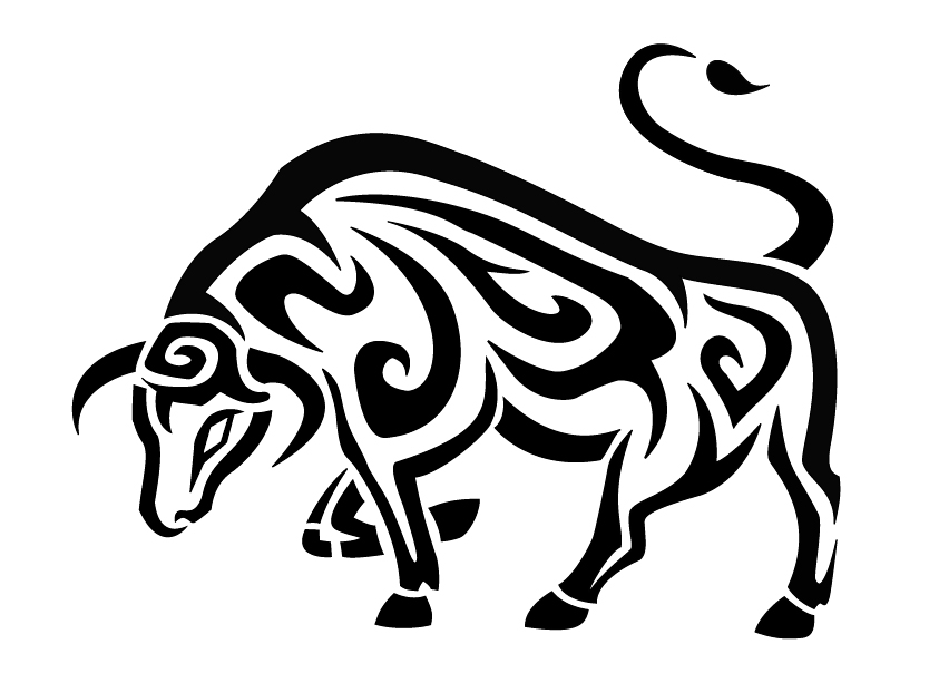 Taurus Bull Drawing at GetDrawings Free download