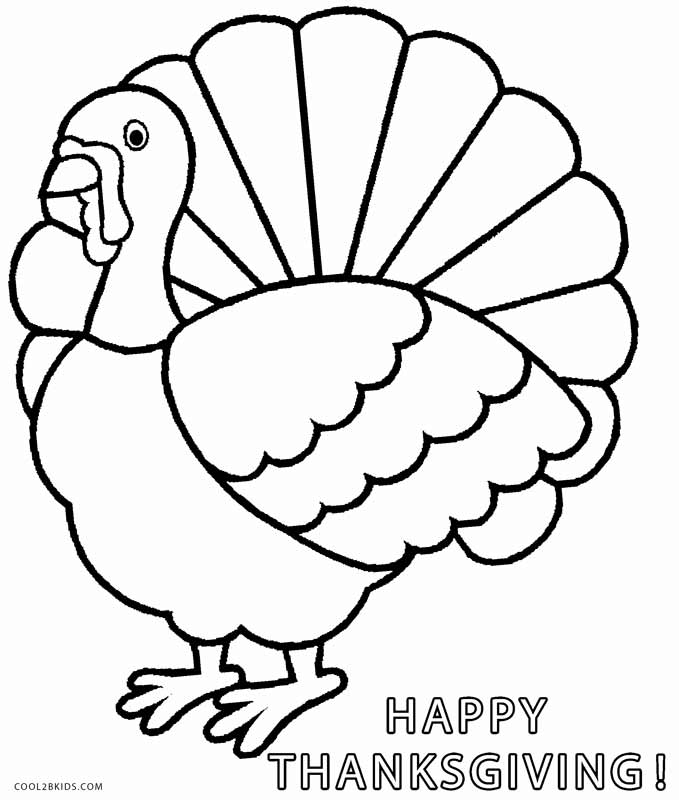 Thanksgiving Turkey Drawing at GetDrawings | Free download