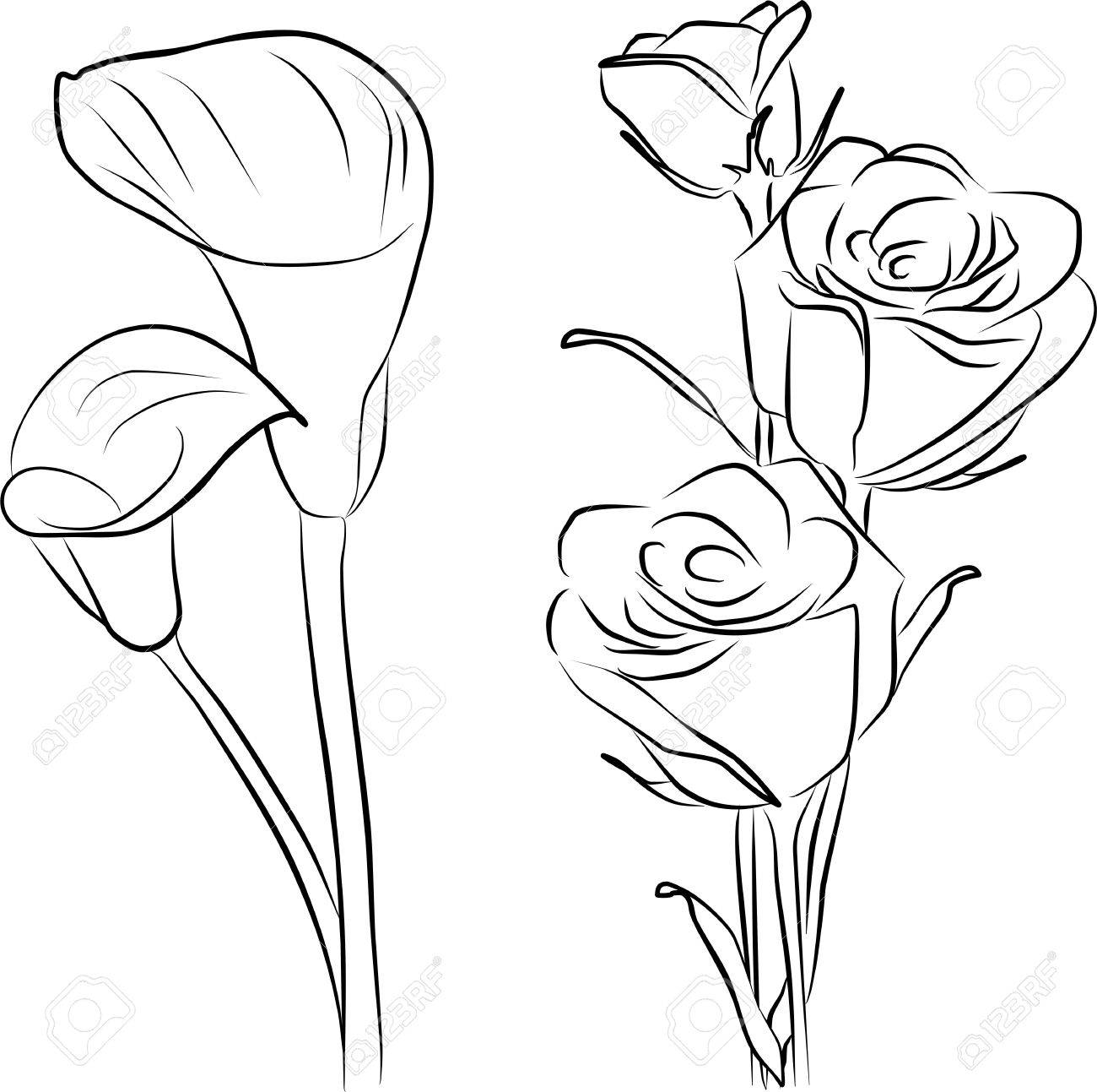 Three Roses Drawing at GetDrawings Free download