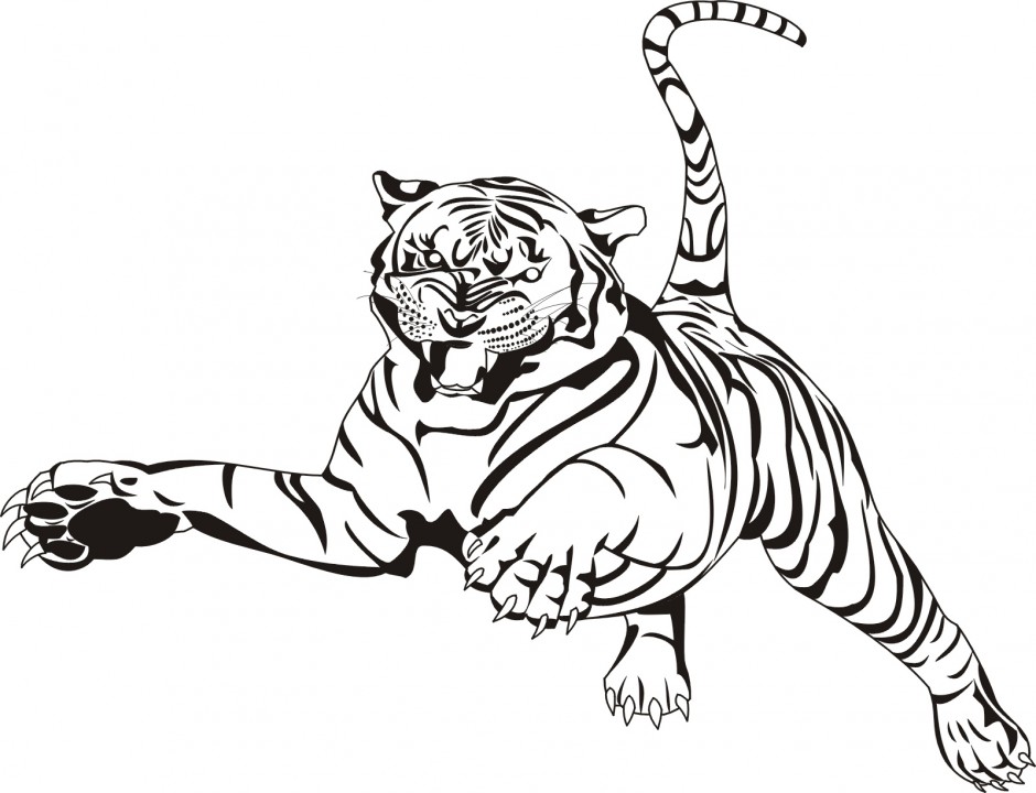 Tiger Drawing Outline at GetDrawings | Free download