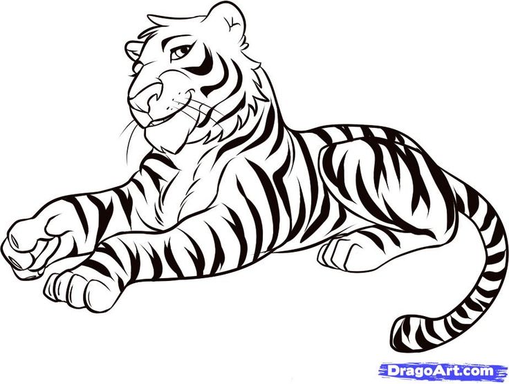 Tiger Drawing Pictures at GetDrawings | Free download