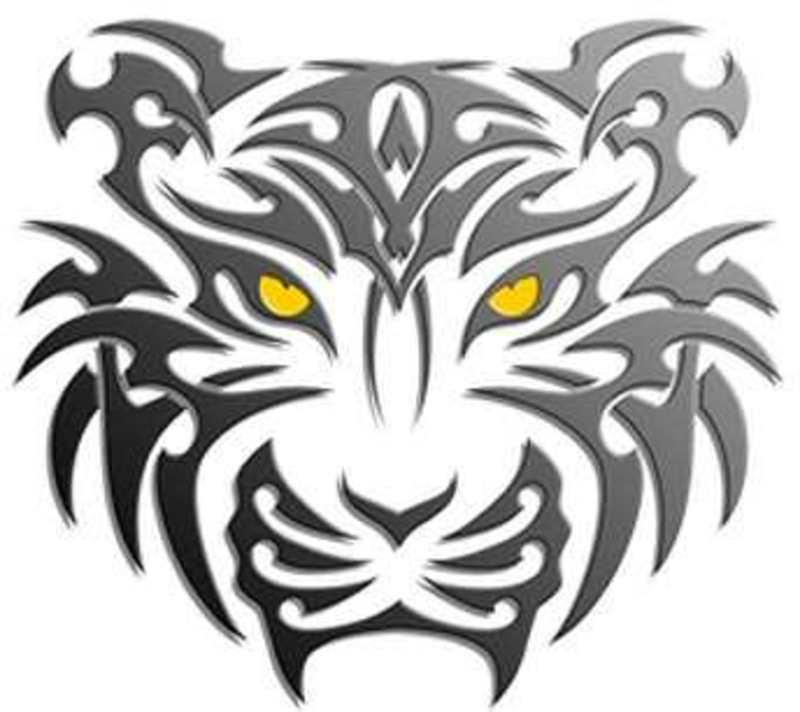 Tiger Eyes Drawing at GetDrawings | Free download