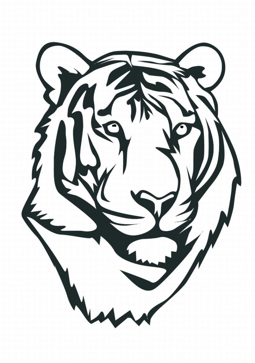 tiger face drawing