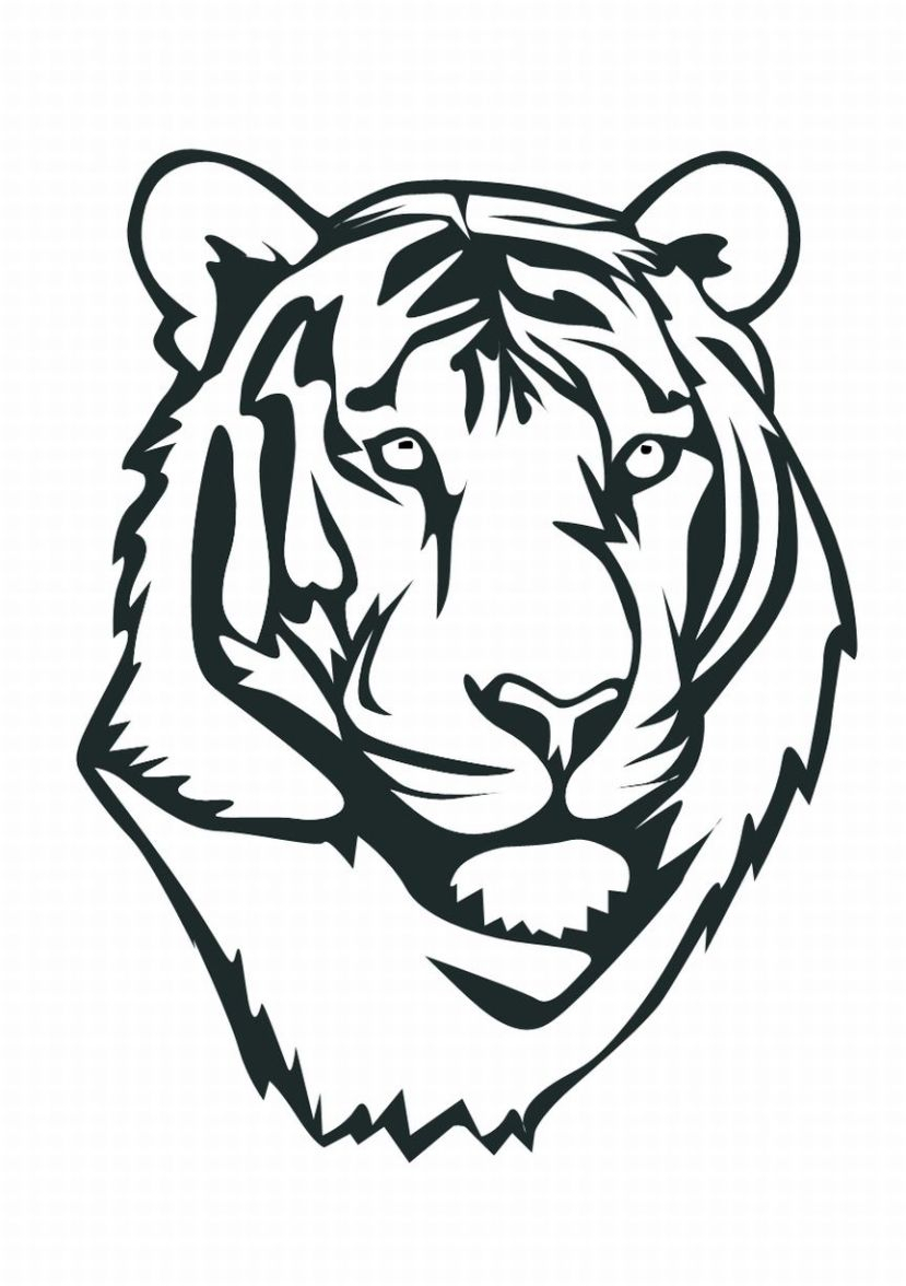 Tiger Face Drawing Pencil at GetDrawings | Free download