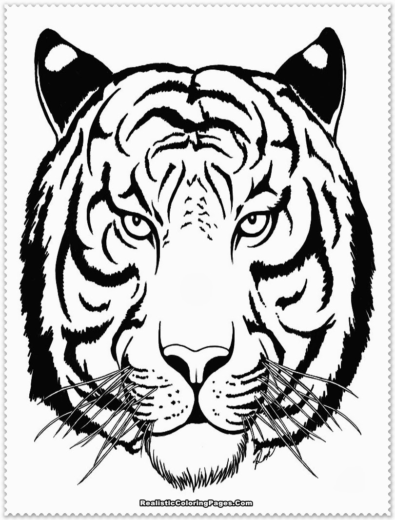 Tiger Face Outline Drawing at GetDrawings Free download