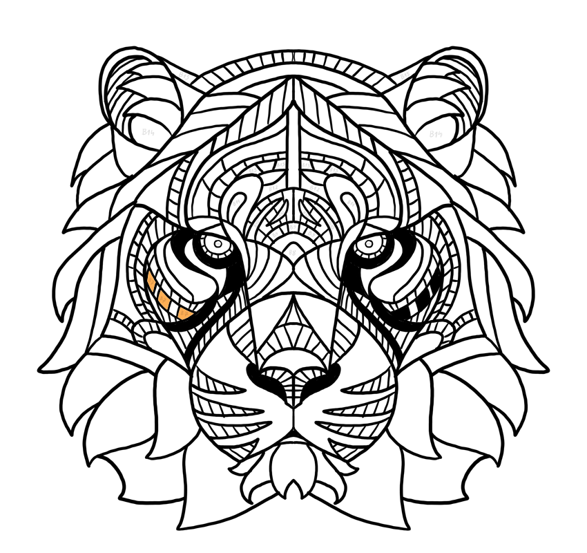Tiger Face Outline Drawing at GetDrawings | Free download