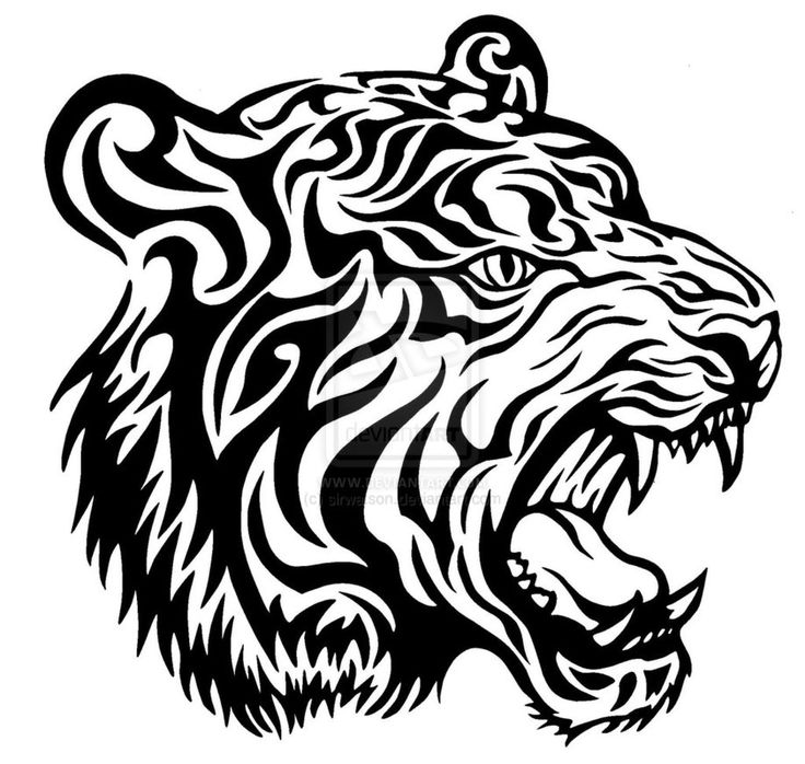 Tiger Line Drawing at GetDrawings | Free download