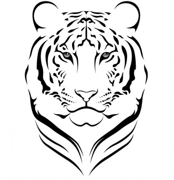 Tiger Outline Drawing at GetDrawings Free download