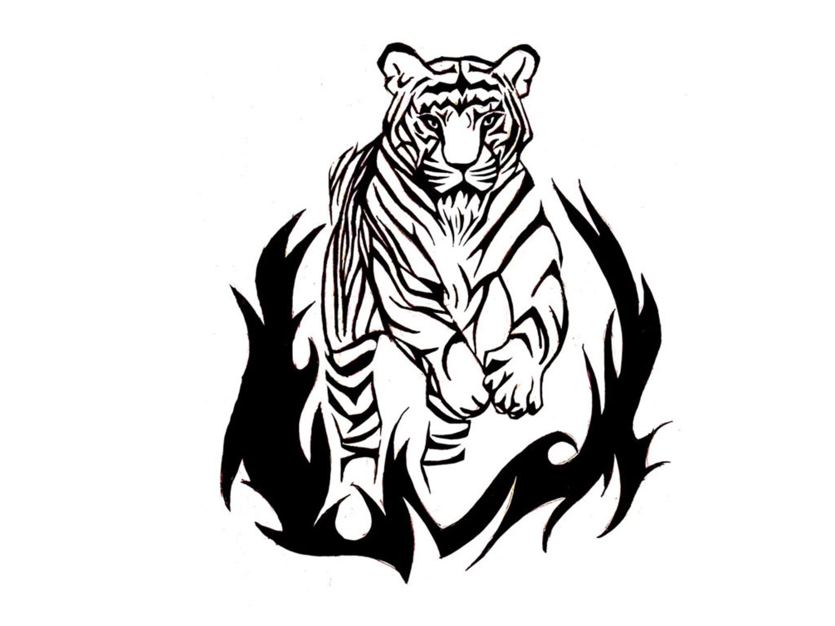 Tiger Scratch Drawing at GetDrawings | Free download