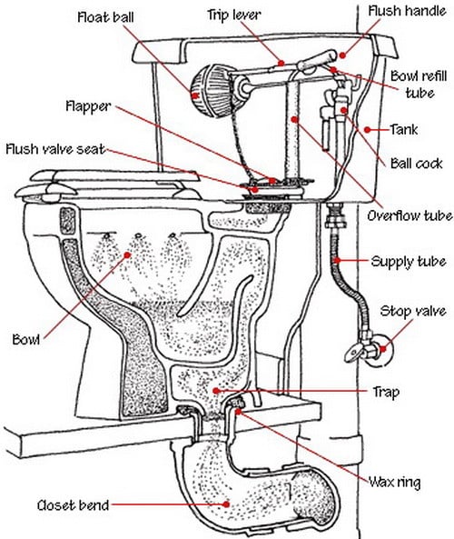 Toilet Detail Drawing at GetDrawings Free download