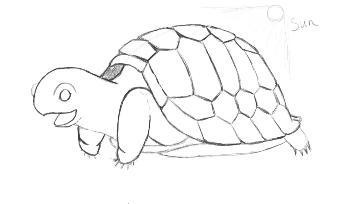 Tortoise Drawing at GetDrawings Free download