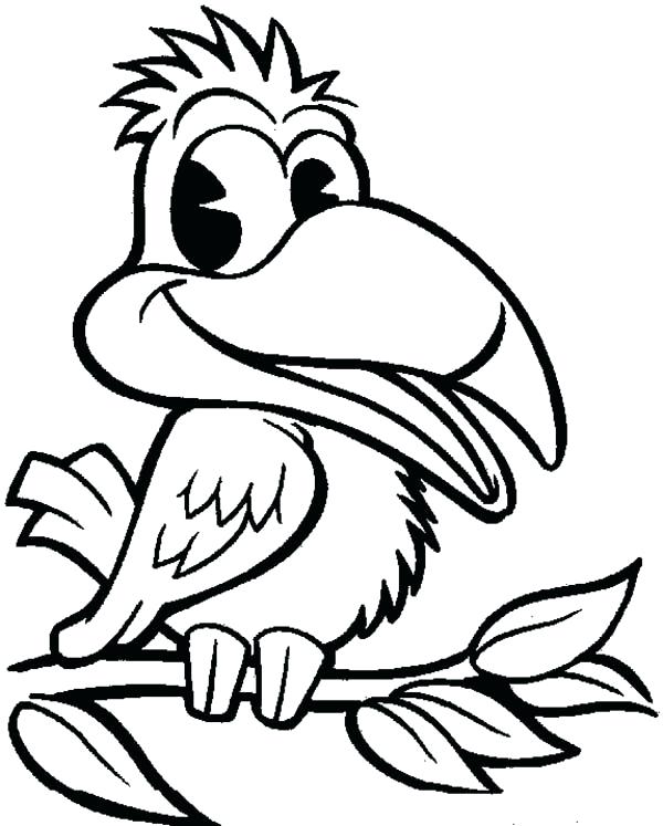 Toucan Bird Drawing at GetDrawings | Free download