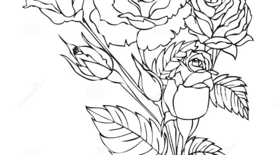 Traditional Rose Drawing at GetDrawings | Free download