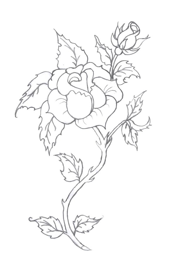 Traditional Rose Tattoo Drawing at GetDrawings | Free download