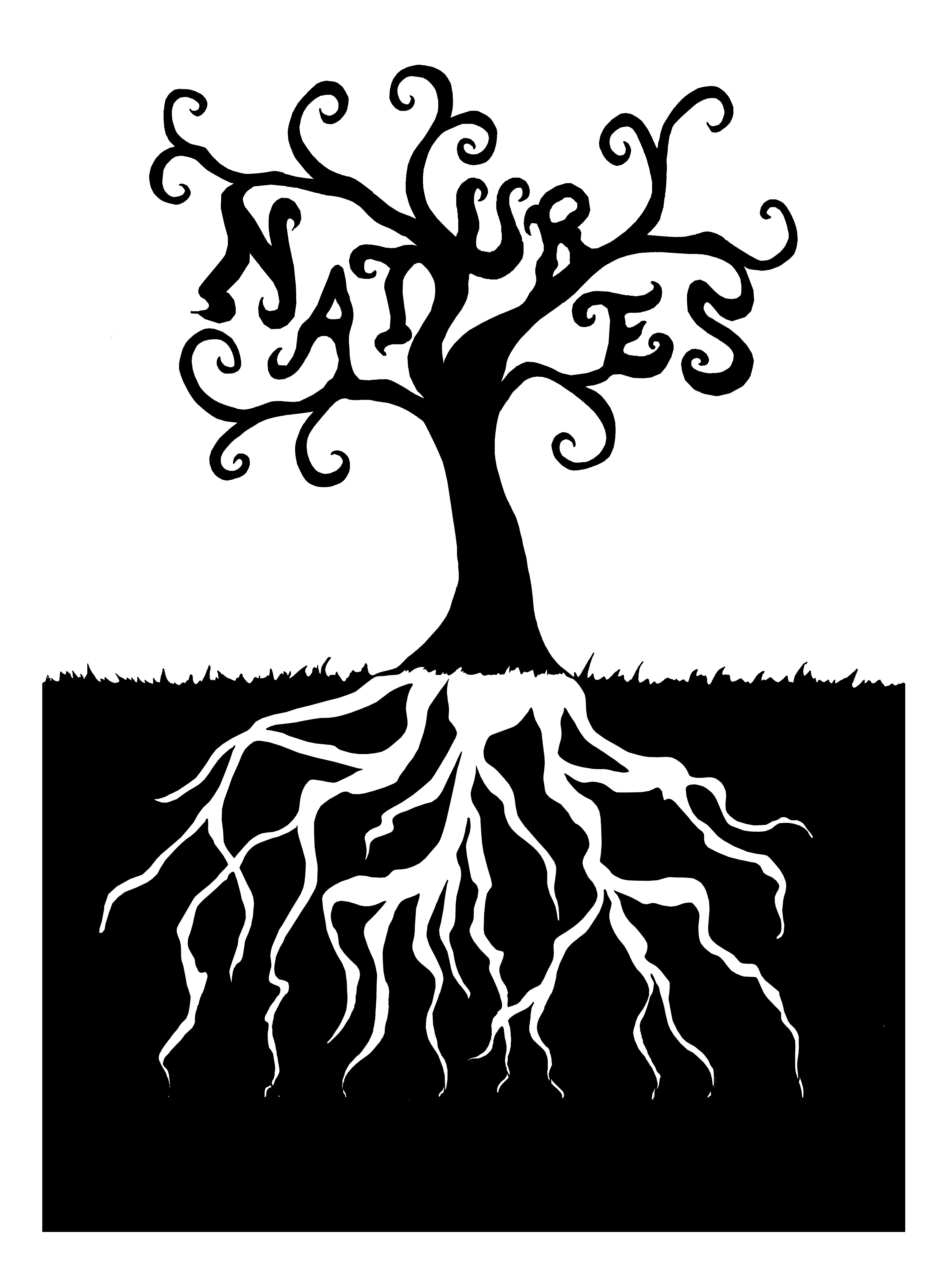 Tree And Roots Drawing at GetDrawings | Free download