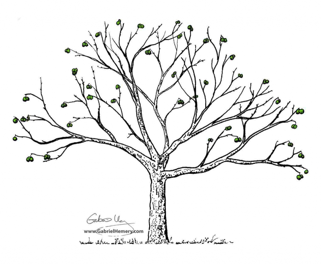 Tree Drawing Oak at GetDrawings | Free download