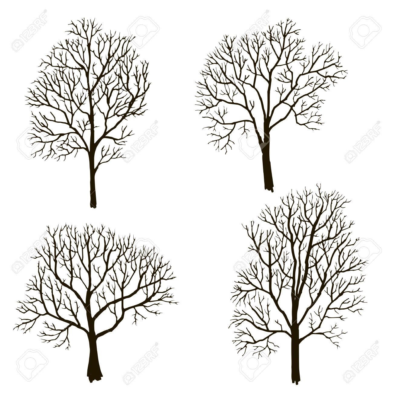 Tree Drawing Without Leaves at GetDrawings Free download