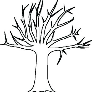 Tree Drawing Without Leaves at GetDrawings Free download