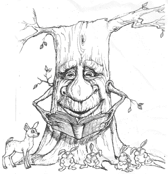 Tree Face Drawing At Getdrawings Free Download
