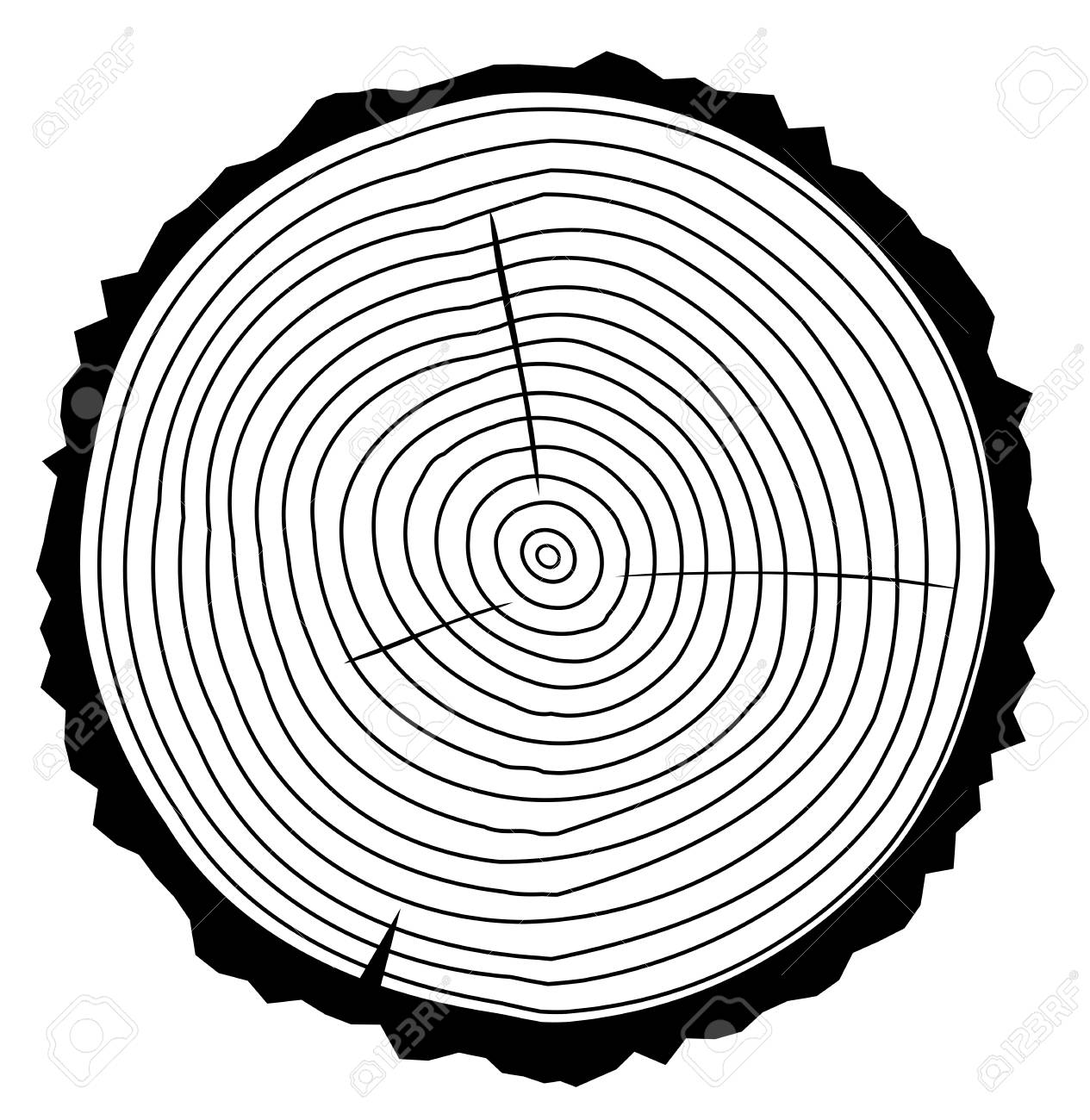 Tree Ring Drawing at GetDrawings Free download
