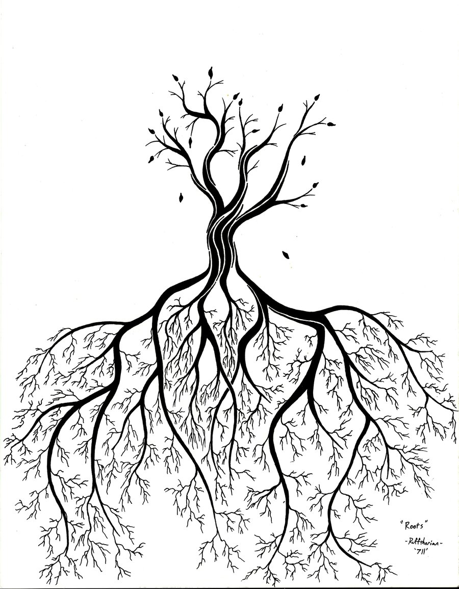 Tree Root Drawing at GetDrawings Free download